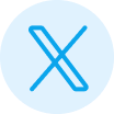 X (Twitter)